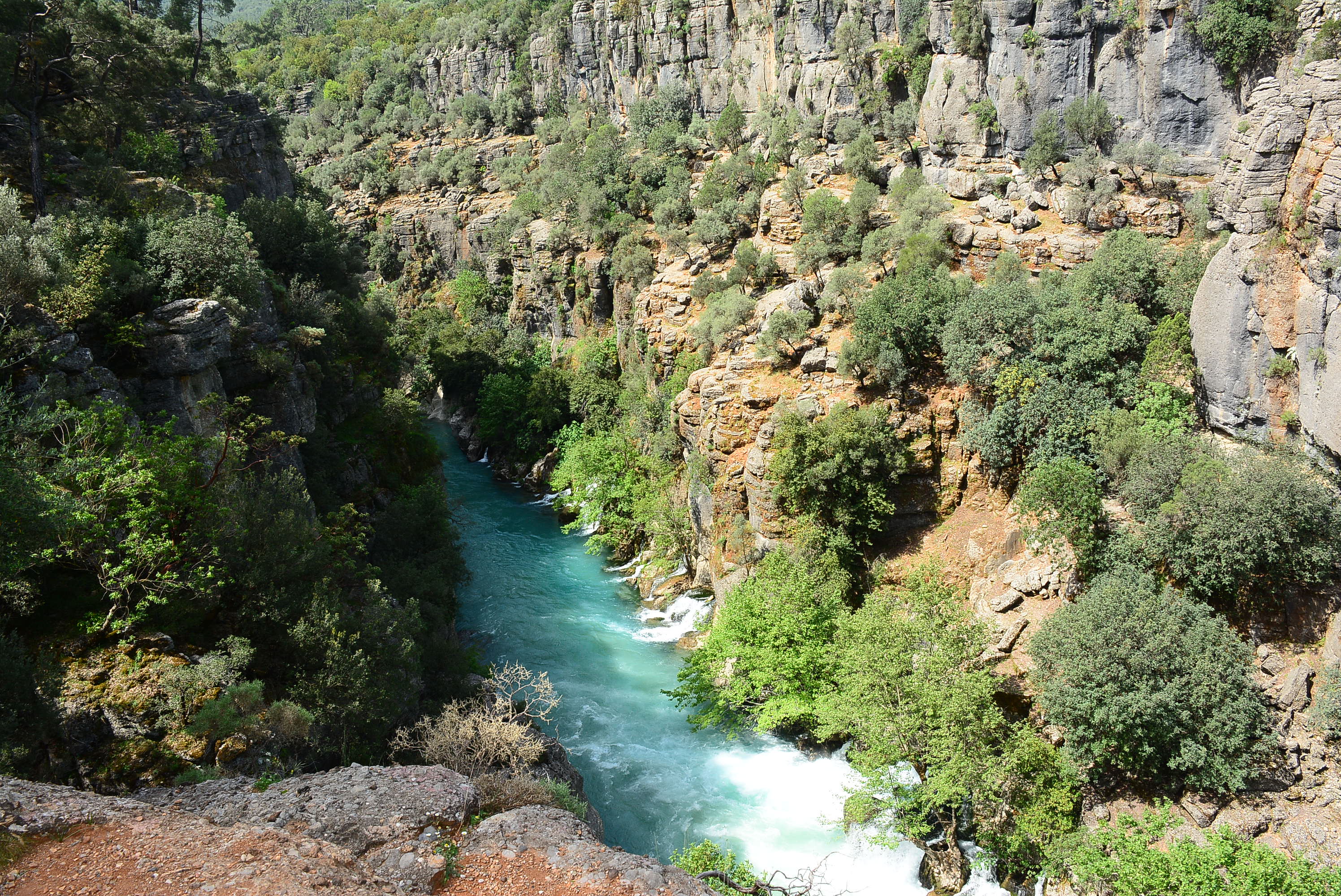 Tazı Kanyonu + Rafting + Zipline (3'ün 1)